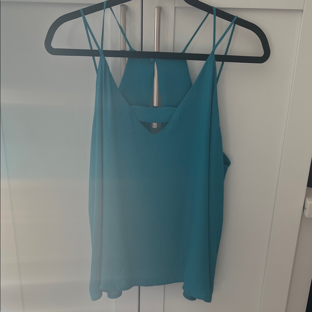 Naked Zebra Teal Camisole Top